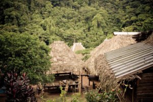 Village Roofs